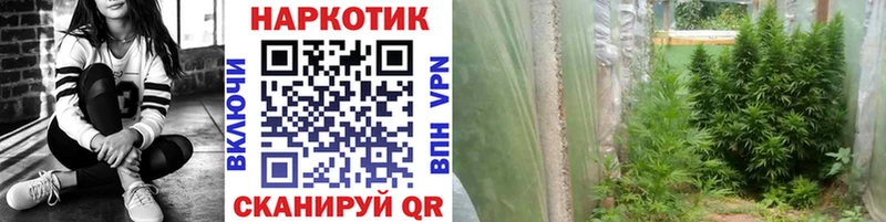 Где продают наркотики Лыткарино MEGA маркетплейс Меф БУТИРАТ ГАШ Alpha PVP