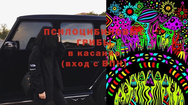 хмурый Няндома