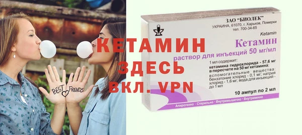 хмурый Няндома