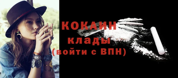 хмурый Няндома