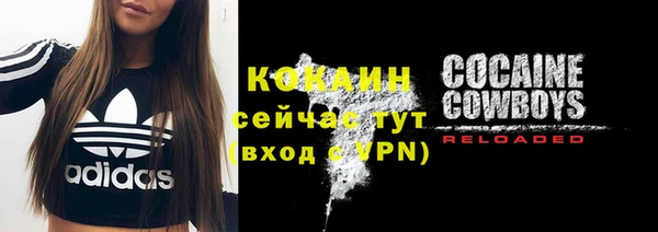 хмурый Няндома