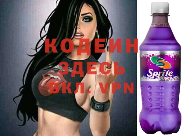 хмурый Няндома