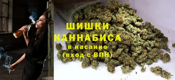хмурый Няндома