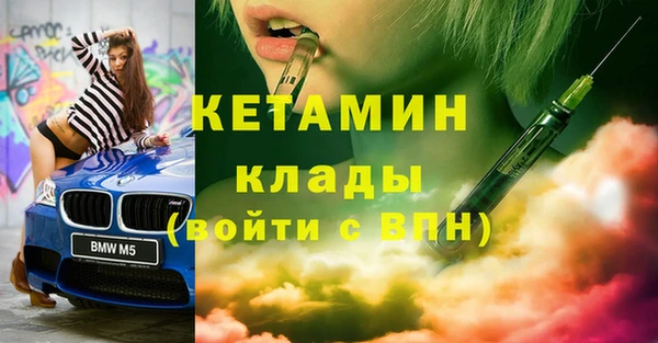 хмурый Няндома
