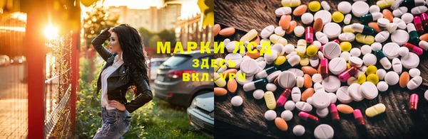 хмурый Няндома