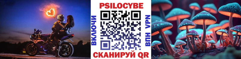Псилоцибиновые грибы Magic Shrooms  Лыткарино 