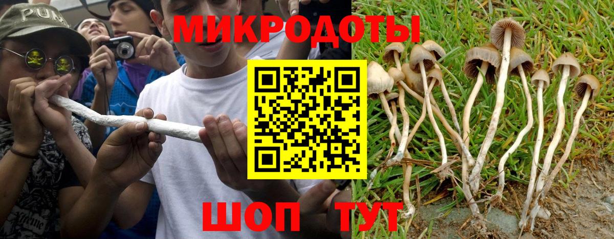 Галлюциногенные грибы ЛСД Лыткарино