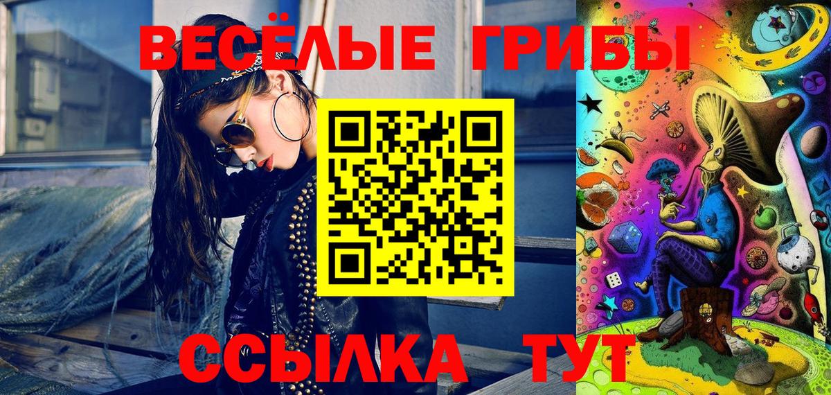 Лыткарино  Псилоцибиновые грибы MAGIC MUSHROOMS  Вход с VPN 